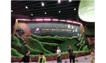 2019北京世園會，我們來啦